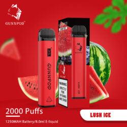 LUSH ICE - 2000 PUFFS